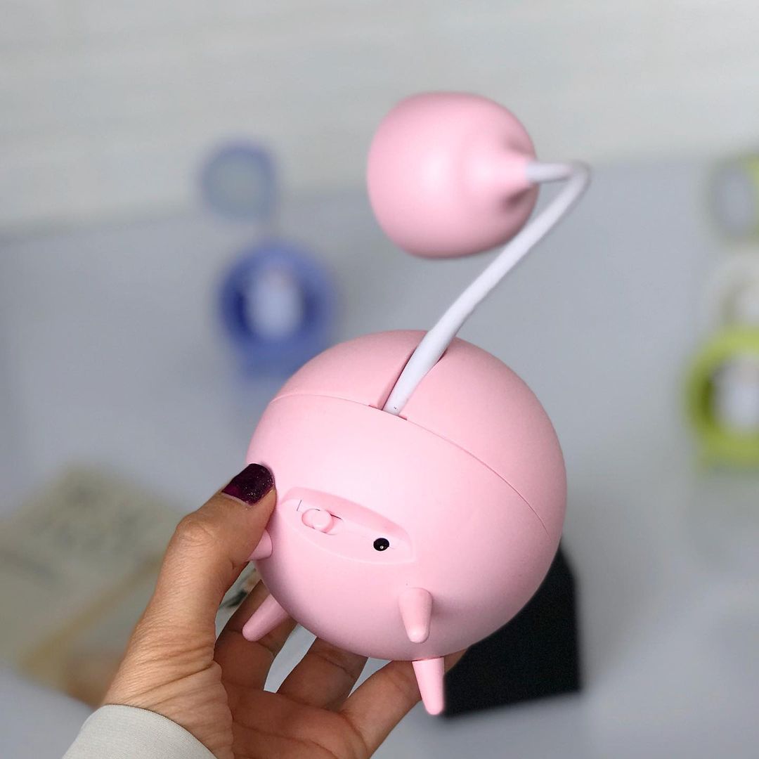 Cute Desk Lamp LED